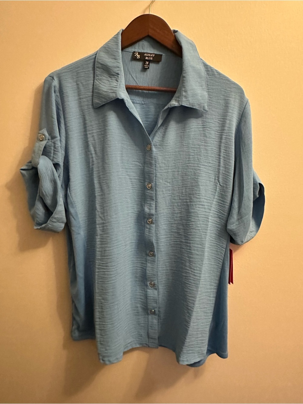Ashley Blue Women’s Sky Blue Casual Button-Down Shirt